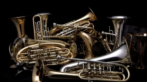 Brass Cases & Gigbags