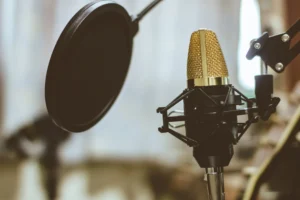 Digital Recorders & Microphones