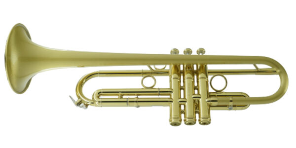 CarolBrass IberoAmerica - "HERO" - Image 6