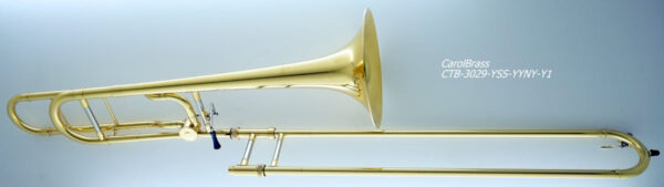 CarolBrass® - CTB-3029-YSS-YYNY-Y1