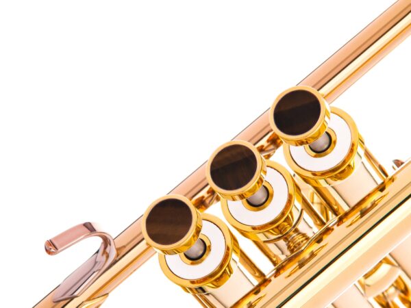 KGU Music - TRUMPET LIGHT TRIM KIT