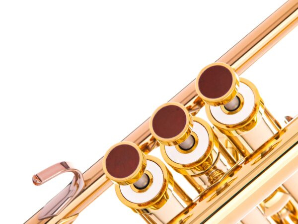 KGU Music - TRUMPET LIGHT TRIM KIT - Image 3