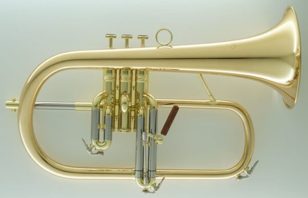 CarolBrass® - CFL-6200-GSS-Bb-L - Image 7