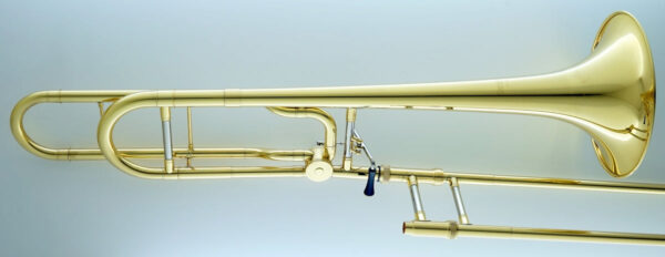CarolBrass® - CTB-3029-YSS-YYNY-Y1 - Image 2