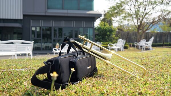 CarolBrass®  - CTB-1005-YSS-Bb-L - Image 4