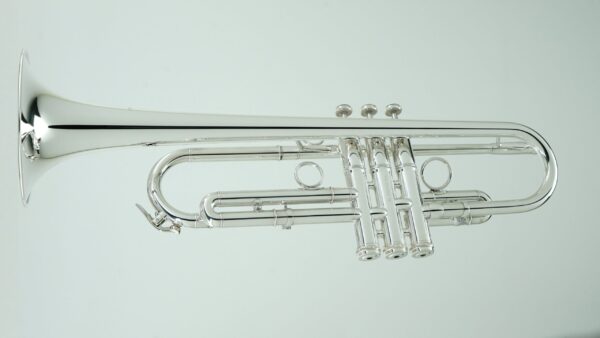 CarolBrass IberoAmerica - "HERO" - Image 2