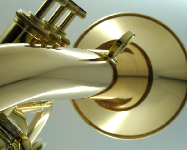 CarolBrass® - CFL-6200-GSS-Bb-L - Image 3