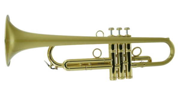 CarolBrass IberoAmerica - "HERO" - Image 5