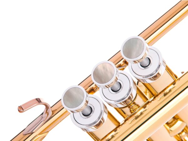KGU Music - TRUMPET LIGHT TRIM KIT - Image 6