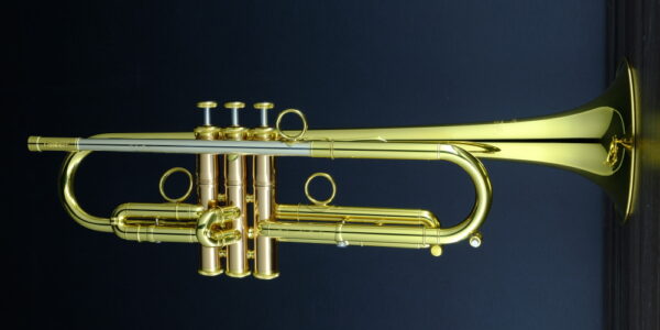 CarolBrass® - Giuffredi All-Round Model - Image 13