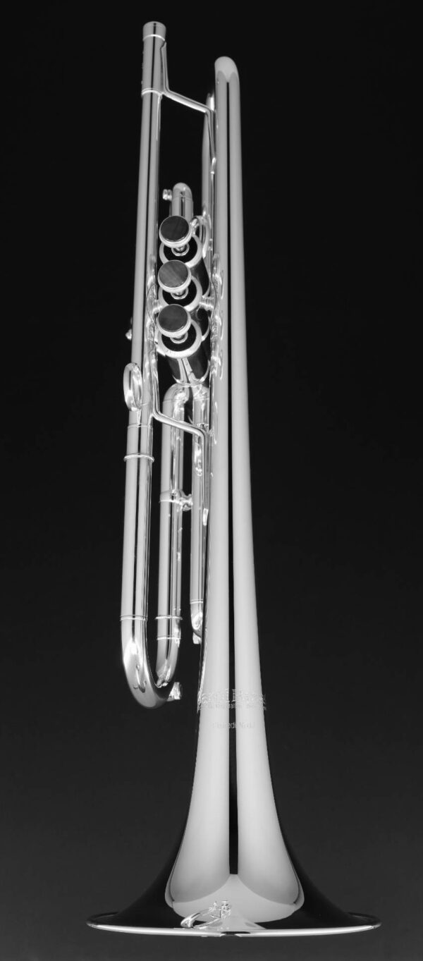 CarolBrass® - Giuffredi All-Round Model - Image 2