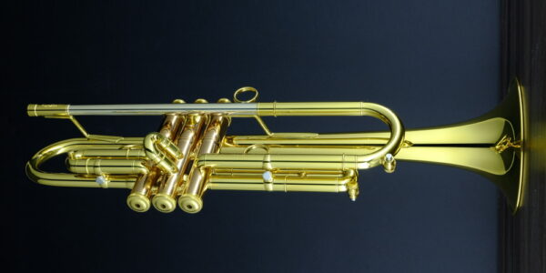 CarolBrass® - Giuffredi All-Round Model - Image 12