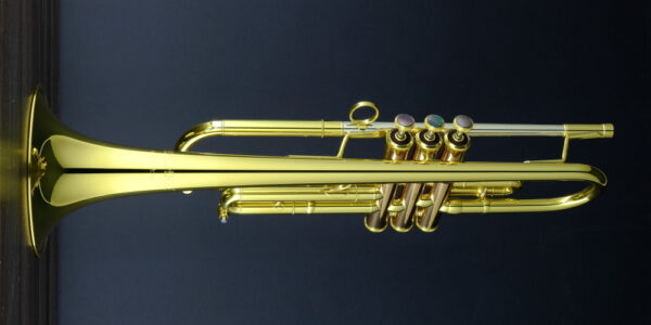 CarolBrass® - Giuffredi All-Round Model - Image 10