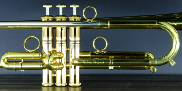 CarolBrass® - Giuffredi All-Round Model - Image 9