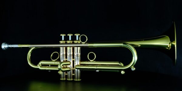 CarolBrass® - Giuffredi Commercial Model - Image 14