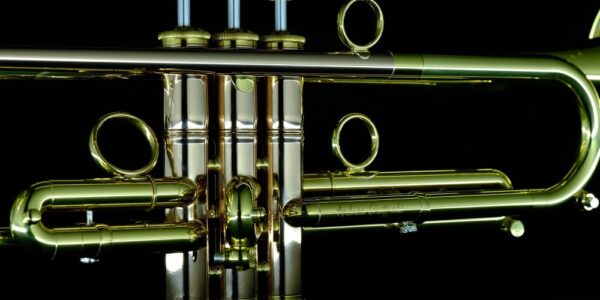 CarolBrass® - Giuffredi Commercial Model - Image 13