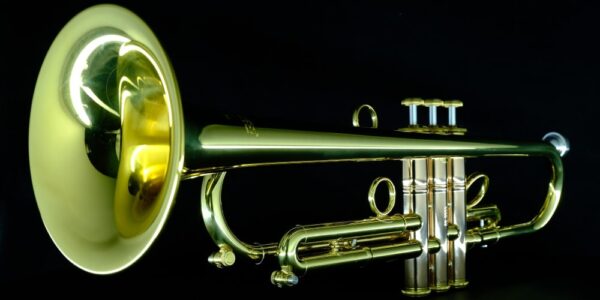 CarolBrass® - Giuffredi Commercial Model - Image 12