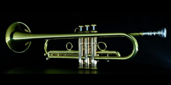 CarolBrass® - Giuffredi Commercial Model - Image 11