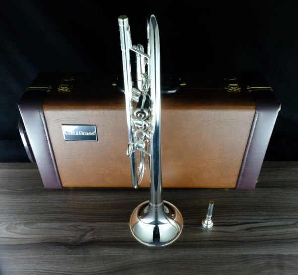 CarolBrass® - Giuffredi Commercial Model - Image 5