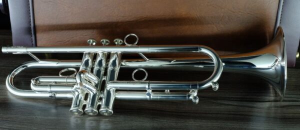 CarolBrass® - Giuffredi Commercial Model - Image 3