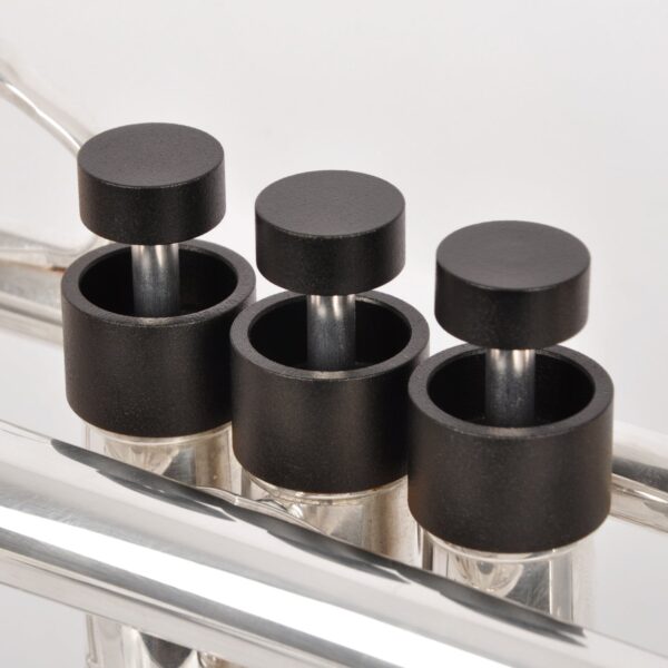 KGU Music - TRUMPET DRAGON ARTISTIC SERIES TRIM KIT - Image 5