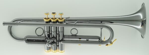 CarolBrass® - CTR-5000L-YST-Bb - Image 4