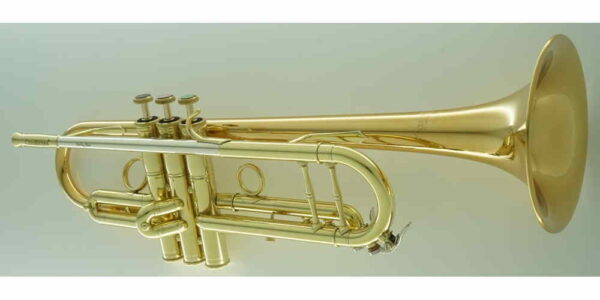 CarolBrass® - CTR-5060H-GSS - Image 9