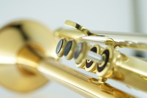 CarolBrass® - CTR-5060H-GSS - Image 11