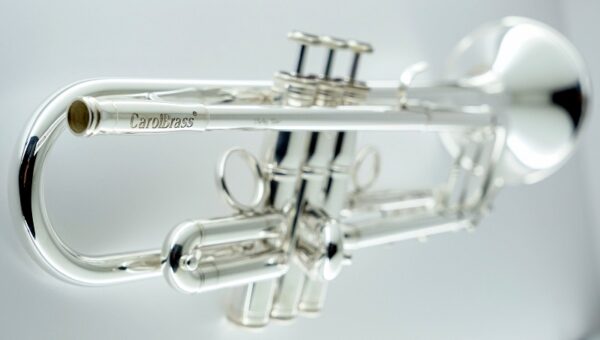 CarolBrass® - CTR-5060H-GSS