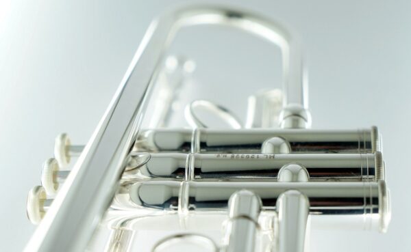 CarolBrass® - CTR-5060H-GSS - Image 4