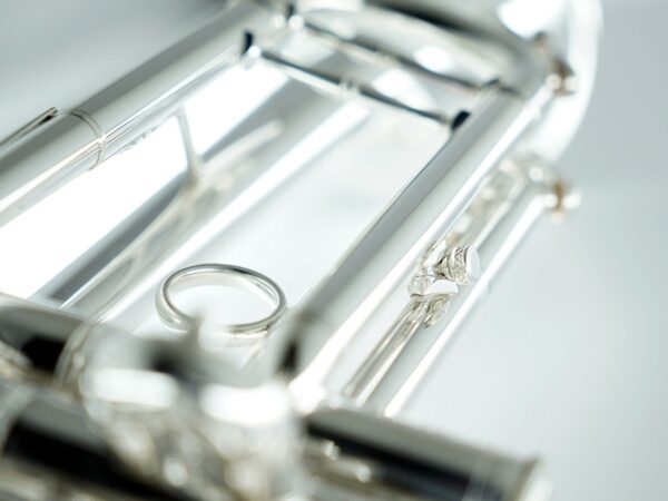CarolBrass® - CTR-5060H-GSS - Image 5