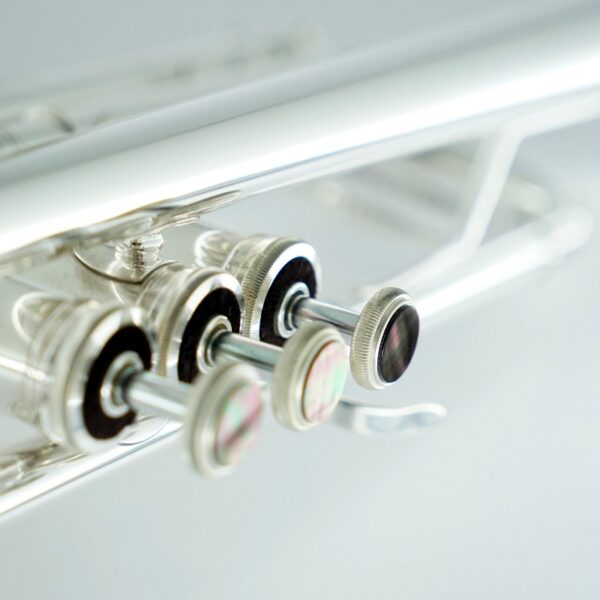CarolBrass® - CTR-5060H-GSS - Image 6