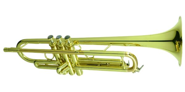 CarolBrass IberoAmerica -  "SELECT" - Image 3