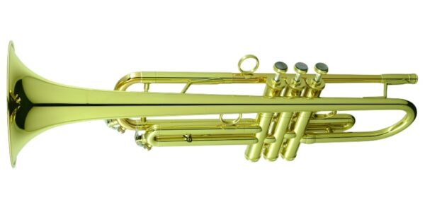 CarolBrass IberoAmerica -  "SELECT" - Image 4