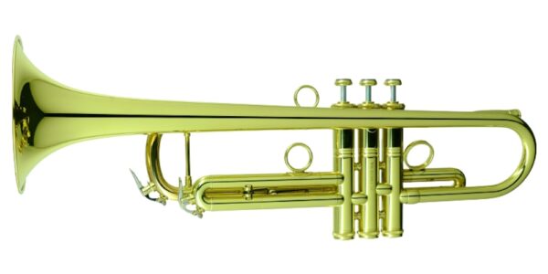 CarolBrass IberoAmerica -  "SELECT" - Image 5