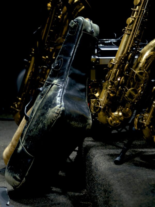Glenn Cronkhite Custom Cases - Tenor Sax Gig Bag - Image 3