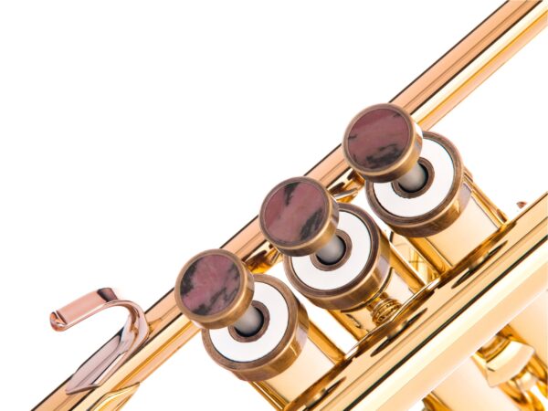KGU Music - TRUMPET LIGHT TRIM KIT - Image 10