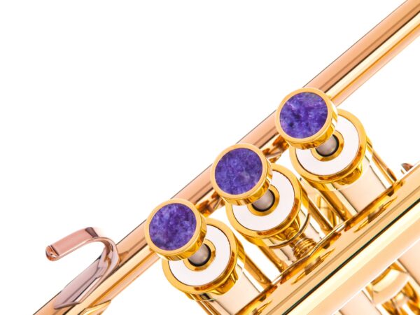 KGU Music - TRUMPET LIGHT TRIM KIT - Image 12