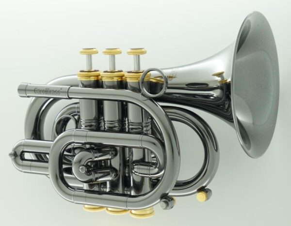 CarolBrass® - CPT-3000-GLS-Bb - Image 18