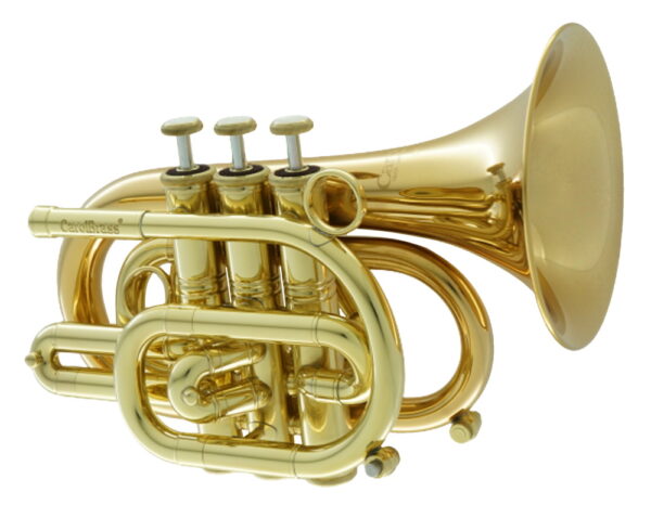 CarolBrass® - CPT-3000-GLS-Bb - Image 14