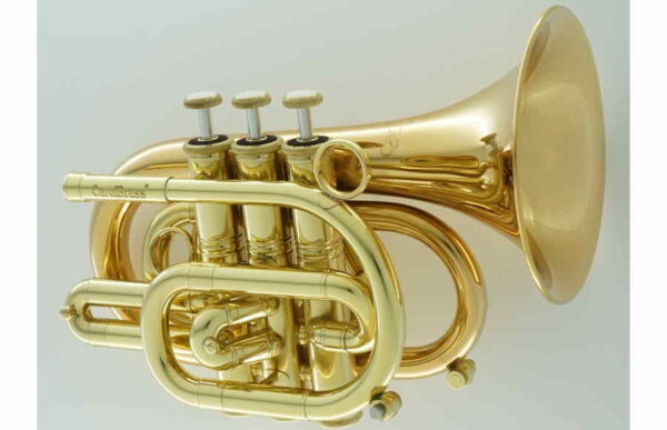 CarolBrass® - CPT-3000-GLS-Bb - Image 15
