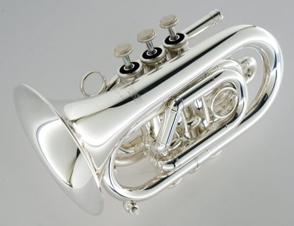 CarolBrass® - CPT-3000-GLS-Bb - Image 16