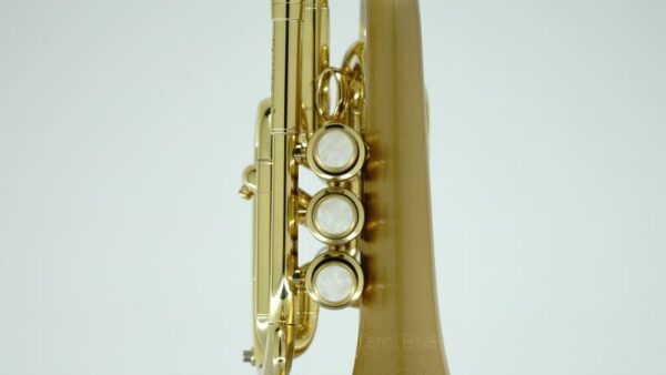 CarolBrass® - CPT-3000-GLS-Bb - Image 8
