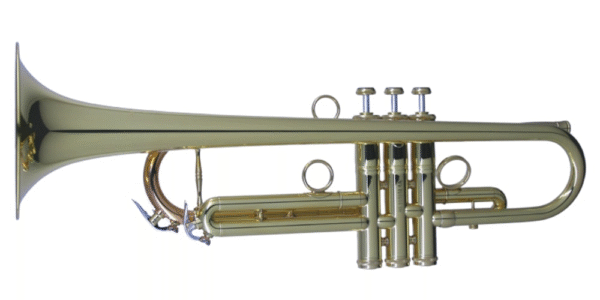 CarolBrass IberoAmerica - "TOREADOR" - Image 17