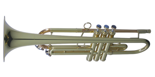 CarolBrass IberoAmerica - "TOREADOR" - Image 18