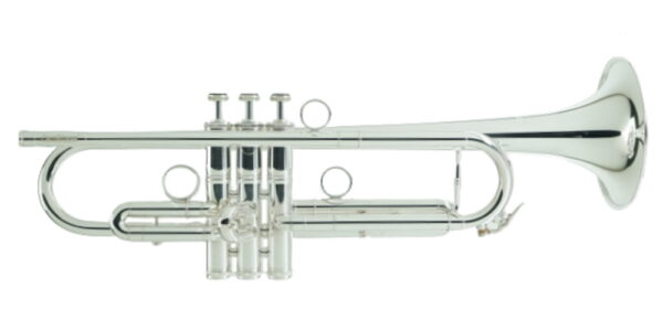 CarolBrass IberoAmerica - "TOREADOR" - Image 10