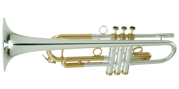 CarolBrass IberoAmerica - "TOREADOR" - Image 4