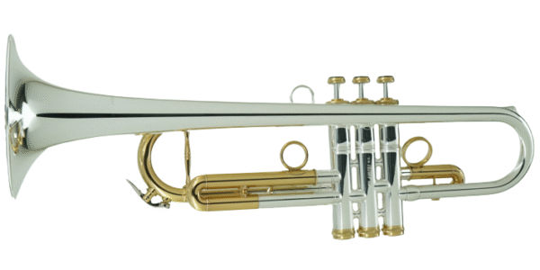 CarolBrass IberoAmerica - "TOREADOR" - Image 5