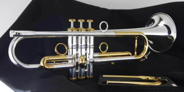 CarolBrass IberoAmerica - "TOREADOR" - Image 6