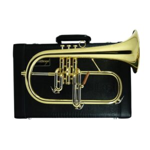 CFL-6200-YSS-Bb-L